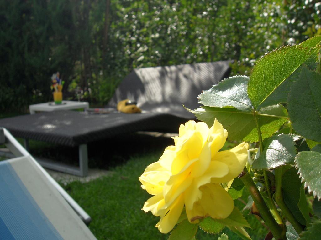 Hotel Fleuralp 3*