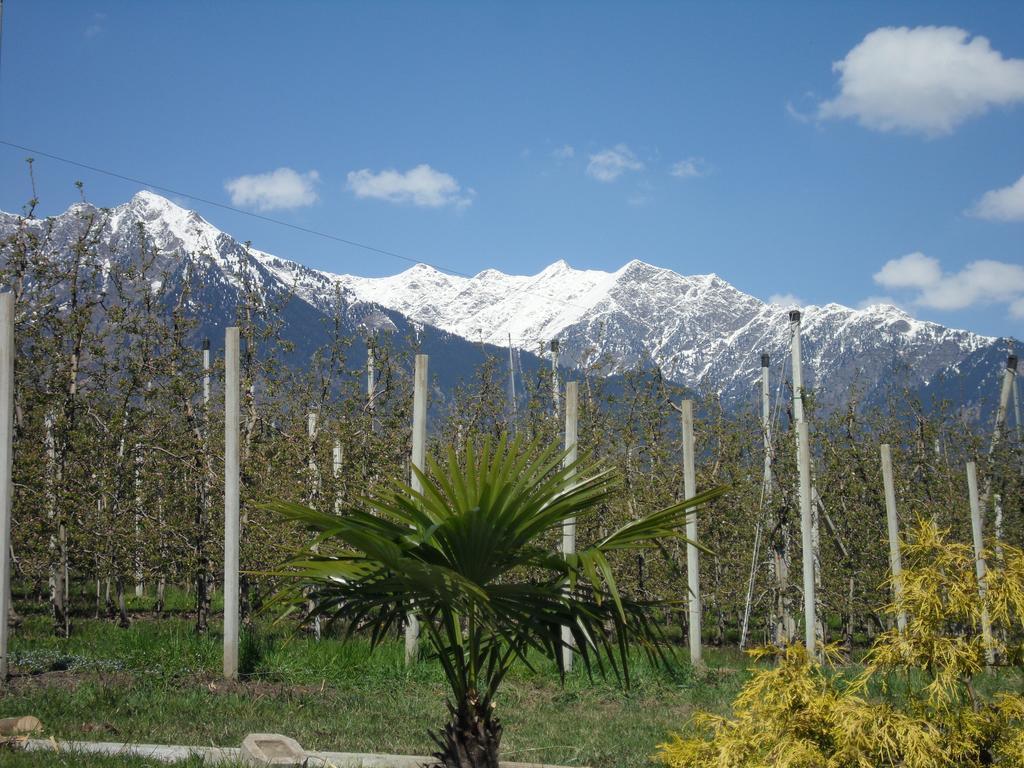 Fleuralp Hotel