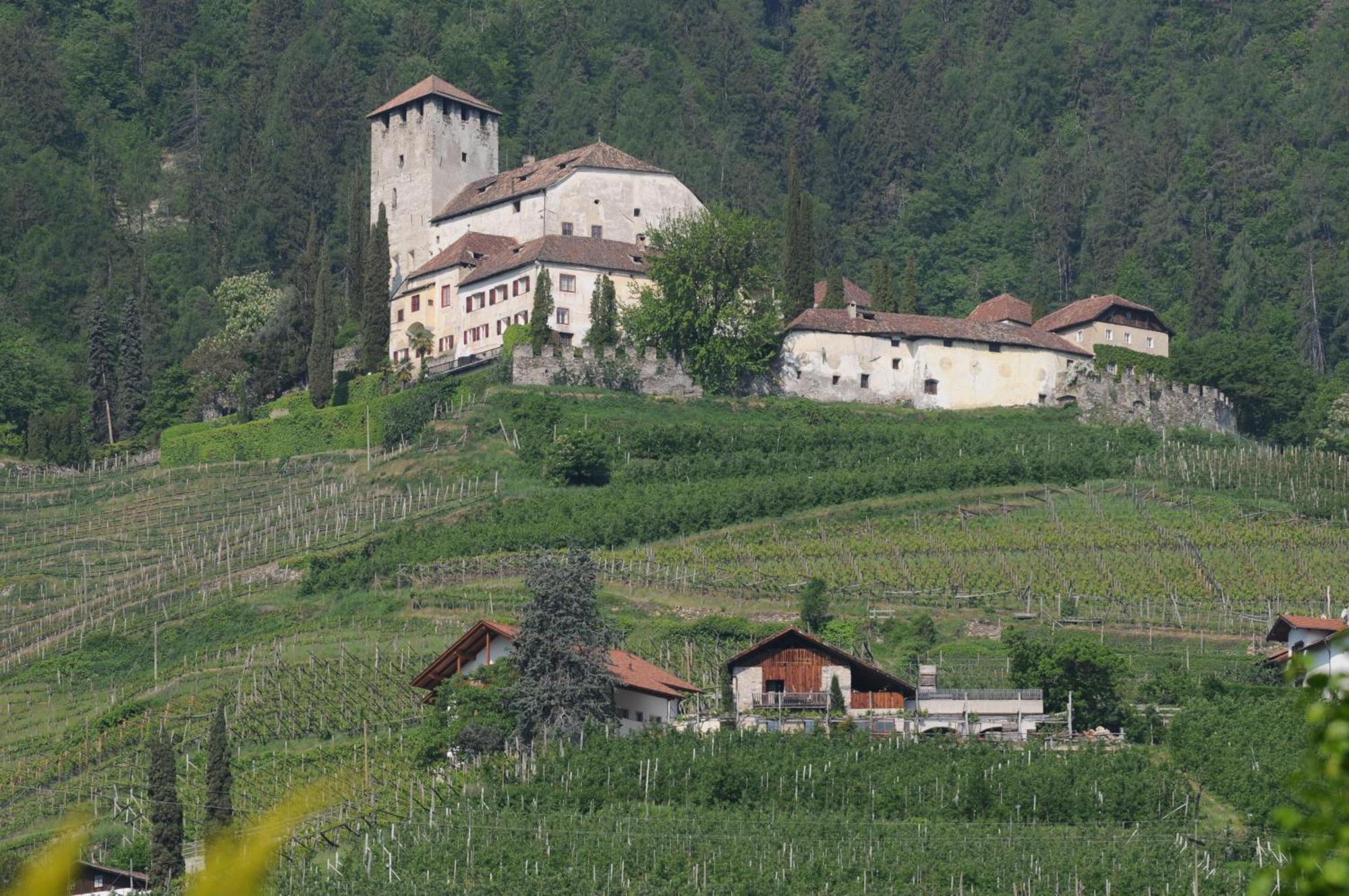 Hotel Fleuralp